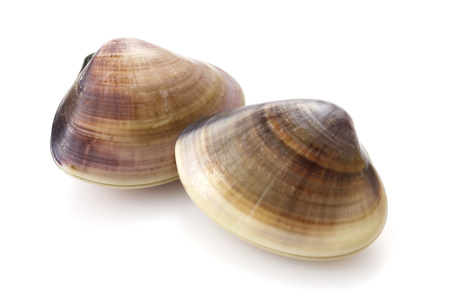 千葉県産他国内産 100gあたり