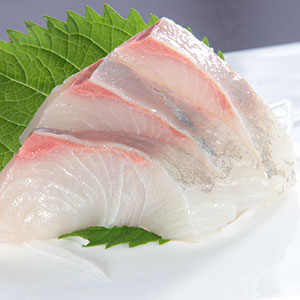 かんぱち（刺身）