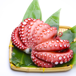 たこ（ボイル）