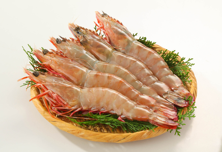 インド産他から 14尾