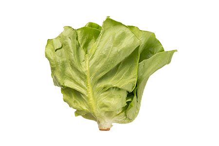 福岡県産 1パック(45g)