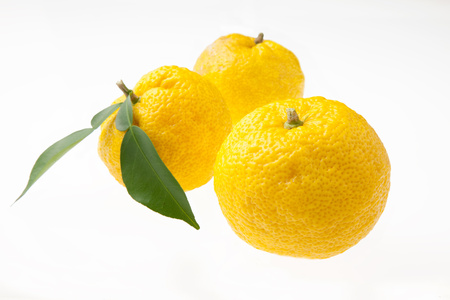 高知県産他 1コ