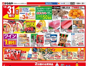 1月30日裏のチラシ画像