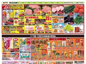 お買い得チラシ9月1日~9月2日のチラシ画像