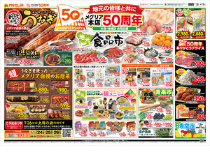 チラシのご案内のチラシ画像