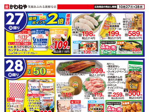 １０月２７日裏のチラシ画像