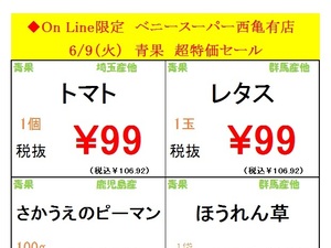 西亀有店限定オンラインチラシ！のチラシ画像