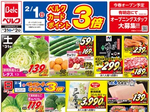 1/31号のチラシ画像