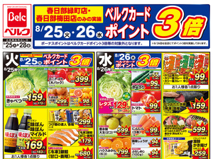 8/25号のチラシ画像