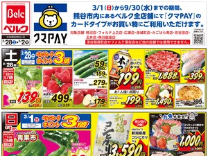 2/28号のチラシ画像