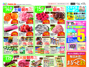 チラシのご案内のチラシ画像