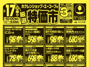 厳選特価市のチラシ画像