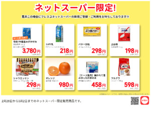 ネットスーパーだけの特別価格品！のチラシ画像