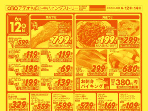 6/12(金)-14(日)のチラシ画像