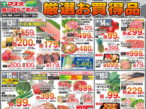 3/13号　厳選お買得品のチラシ画像
