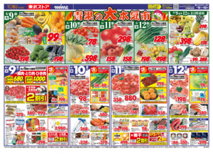 6/9㊋～6/12㊎のチラシ画像
