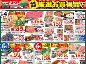 9/4号　厳選お買得品のチラシ画像