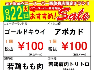 西亀有店限定オンラインチラシ！のチラシ画像