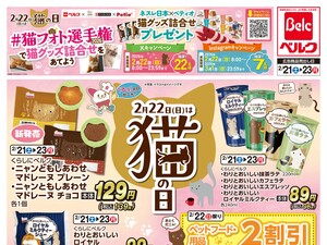 2/21号のチラシ画像