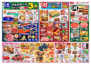 本日の特売情報のチラシ画像