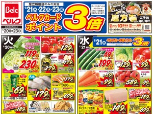 1/20号のチラシ画像