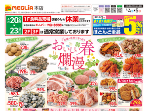 チラシのご案内のチラシ画像