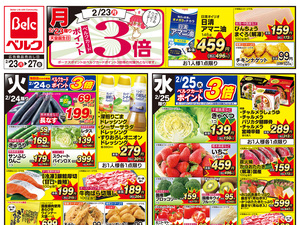 2/23号のチラシ画像