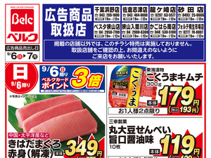 9月強化チラシ1弾のチラシ画像