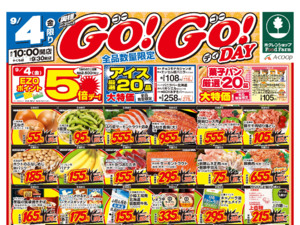 WGOGOdayのチラシ画像