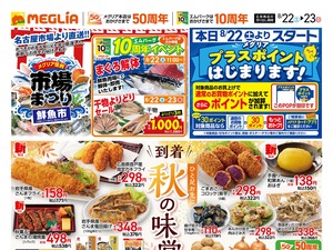 チラシのご案内のチラシ画像