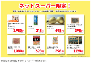 ネットスーパーだけの特別価格品!のチラシ画像