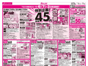 10/6-9  ４５円均一祭/青果の日/CGC特集のチラシ画像