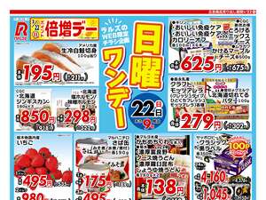 0322 Web日曜ワンデーのチラシ画像