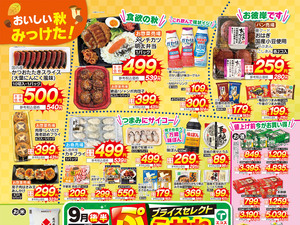  9月後半ぷらせれ（3店舗版）のチラシ画像