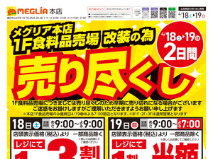 チラシのご案内のチラシ画像