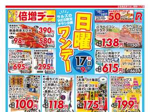 0517 Web日曜ワンデーのチラシ画像