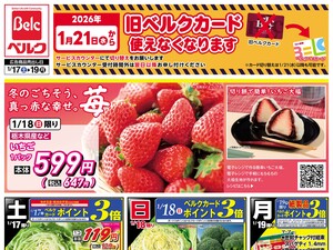 1/17号のチラシ画像