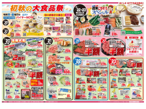黄札特別割引セール＆初秋の大食品祭のチラシ画像