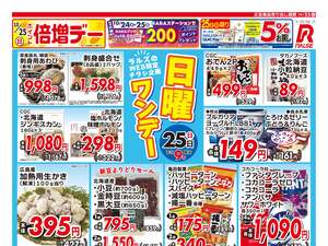 1025 Web日曜ワンデーのチラシ画像