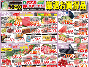 5/22号 厳選お買得品のチラシ画像