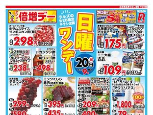 0920 Web日曜ワンデー のチラシ画像