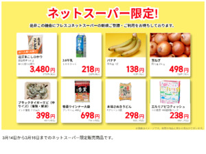 ネットスーパーだけの特別価格品！のチラシ画像
