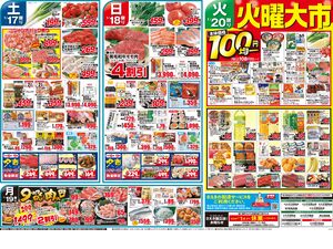 0117号冬の大寒謝祭のチラシ画像