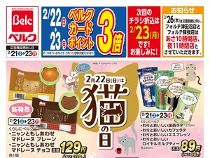 2/21号のチラシ画像