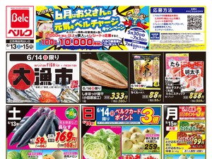 6/13号のチラシ画像