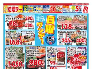 0315 Web日曜ワンデーのチラシ画像