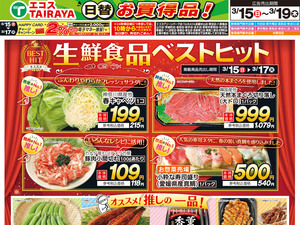 3月15日号WEBチラシ　ベストヒット・お手軽サンド・春のお彼岸・日替：表のチラシ画像