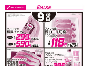 3/9お買得品のチラシ画像