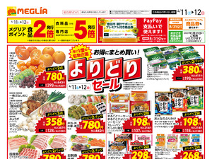 チラシのご案内のチラシ画像