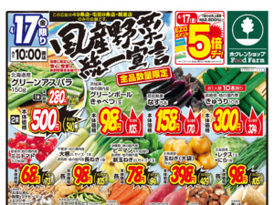 国産野菜統一宣言のチラシ画像